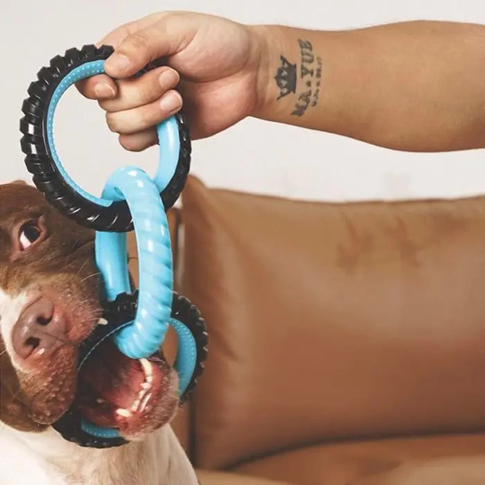 M-Pets Ring King Triple Dog Toy Durable Triple Ring Blue & Black