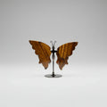 Tiger's Eye Butterfly With Stand