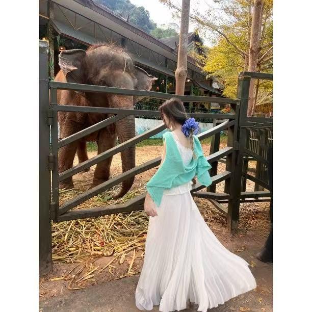 Spring And Summer New Plus-Size Pleated Skirt For Women, Stylish Pleated A-Line Long Skirt, Chiffon High-Waisted Tulle Skirt For Plus-Size Women