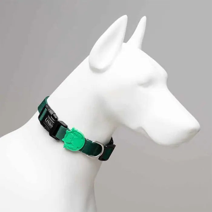 Lindo Brazil Dog Collar Large Adjustable 46-70cm