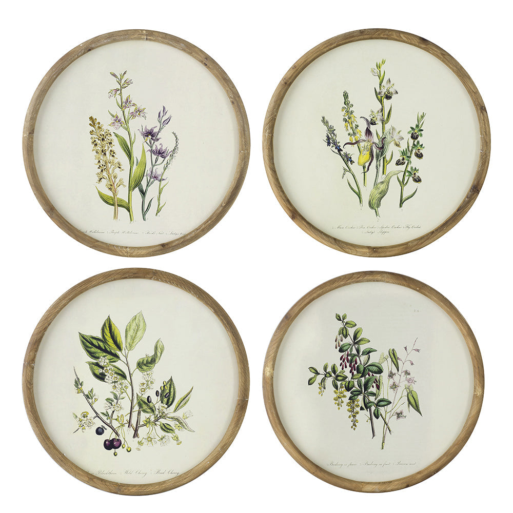S/4 D19.7" Flora Print Round Frame