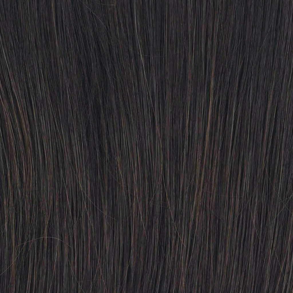 Raquel Welch Crowd Pleaser Wig