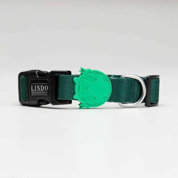 Lindo Brazil Dog Collar Large Adjustable 46-70cm