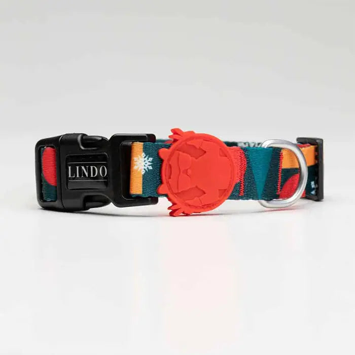 Lindo Reindeer Dog Collar Adjustable Small 30-44cm