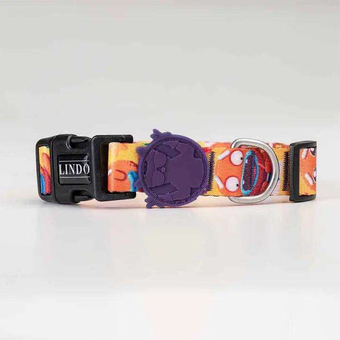 Lindo Ginger Man Dog Collar Stylish Adjustable Design Medium 37-56cm