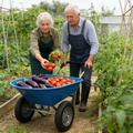 Two Wheeled Trolley Wheel Barrow