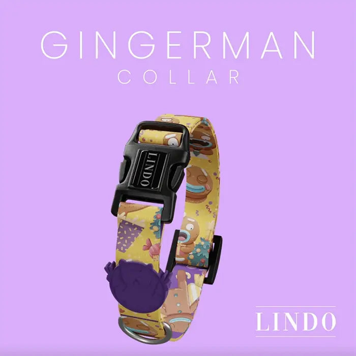 Lindo Ginger Man Dog Collar Stylish Adjustable Design Medium 37-56cm