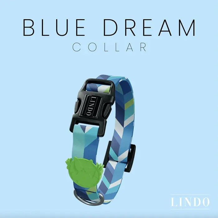 Lindo Blue Dream Adjustable Dog Collar for Small Breeds 30-44cm