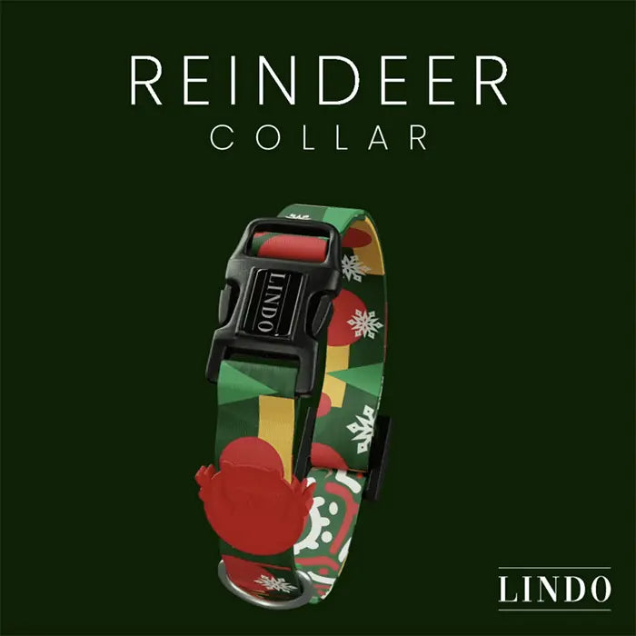 Lindo Reindeer Dog Collar Stylish Adjustable Design Medium 37-56cm