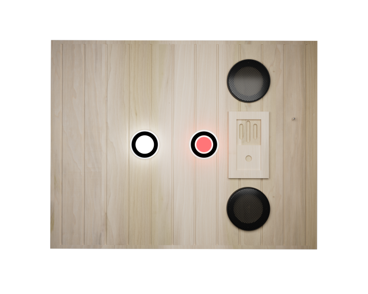 XY-909MB-L Far Infrared Sauna Room