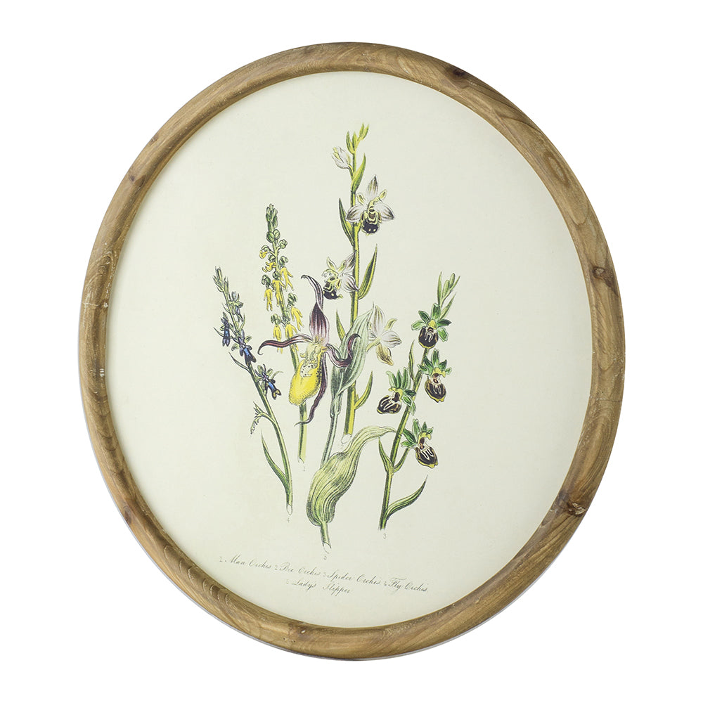 S/4 D19.7" Flora Print Round Frame