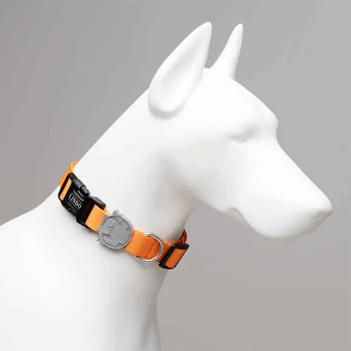 Lindo Royal Small Dog Collar with High-Print Design 30-44cm