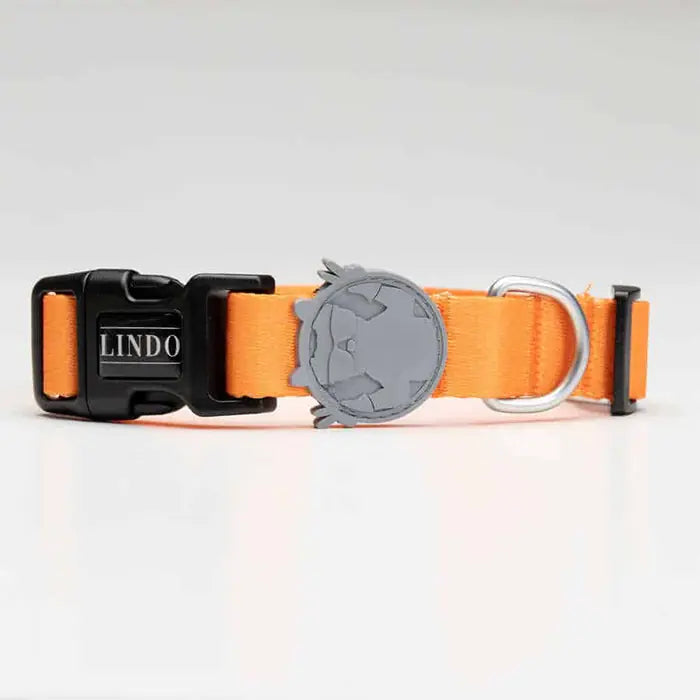 Lindo Royal Small Dog Collar with High-Print Design 30-44cm