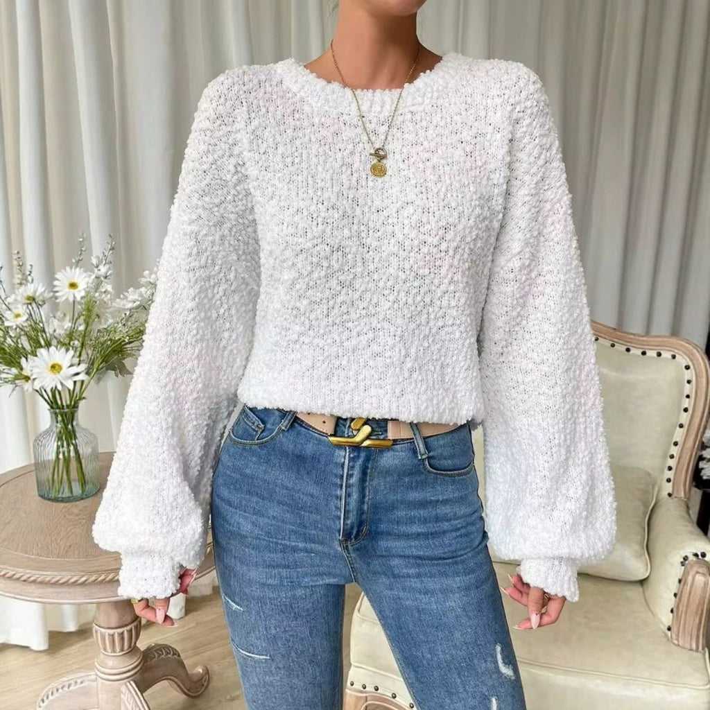 Women's Casual Crew-neck Long-sleeve Top