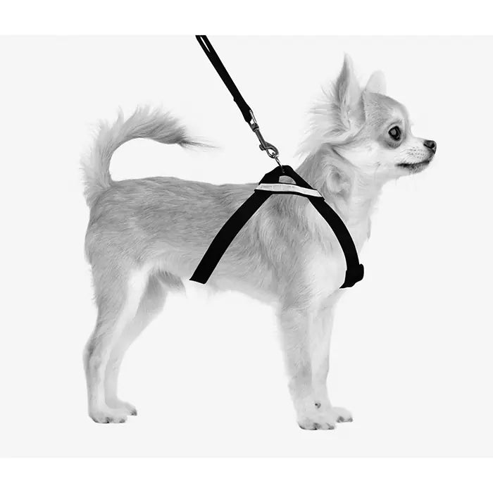 M-Pets Secura 2-in-1 Dog Harness for Medium Breeds 56x71cm