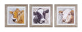 Wood framed cow print under glass (set of 3)