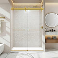 Frameless Double Sliding Shower Door in Brushed Finish