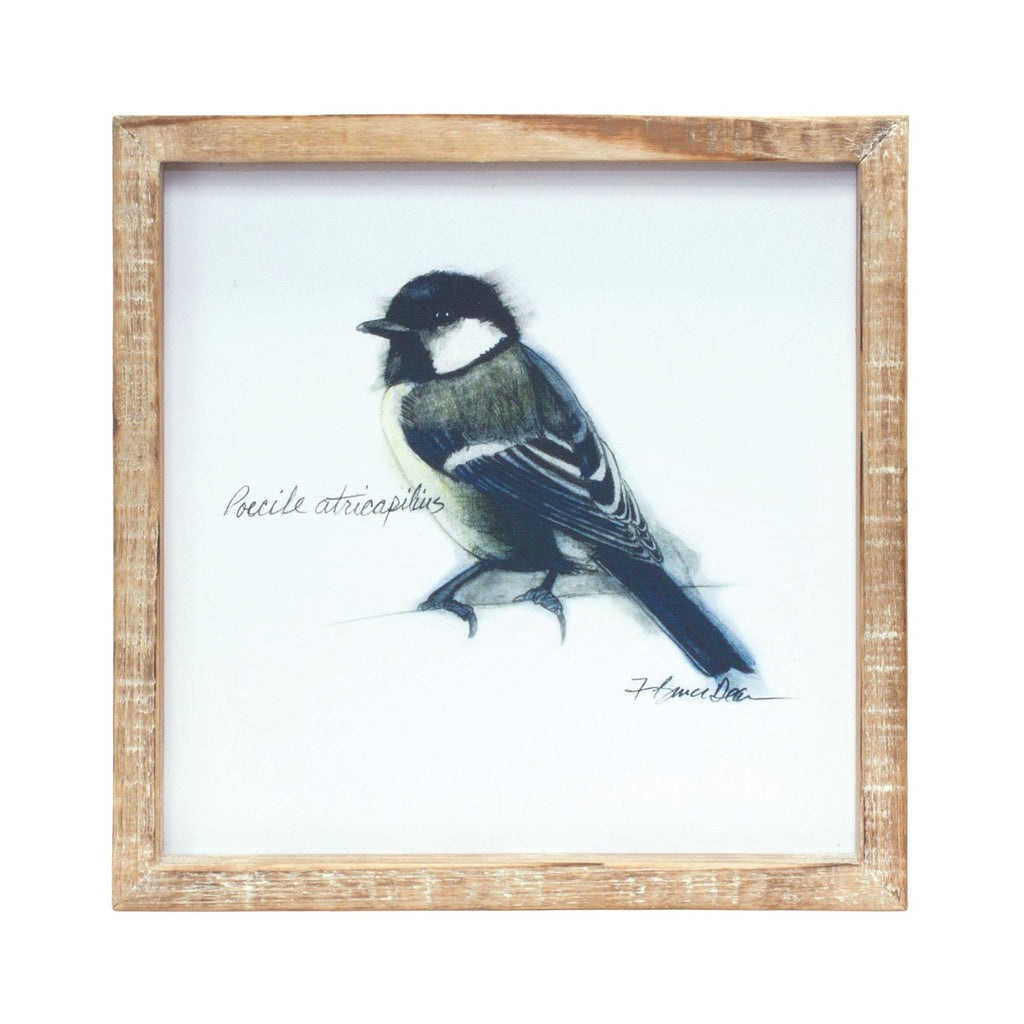 Wood Framed Bird Art Print (Set of 4)