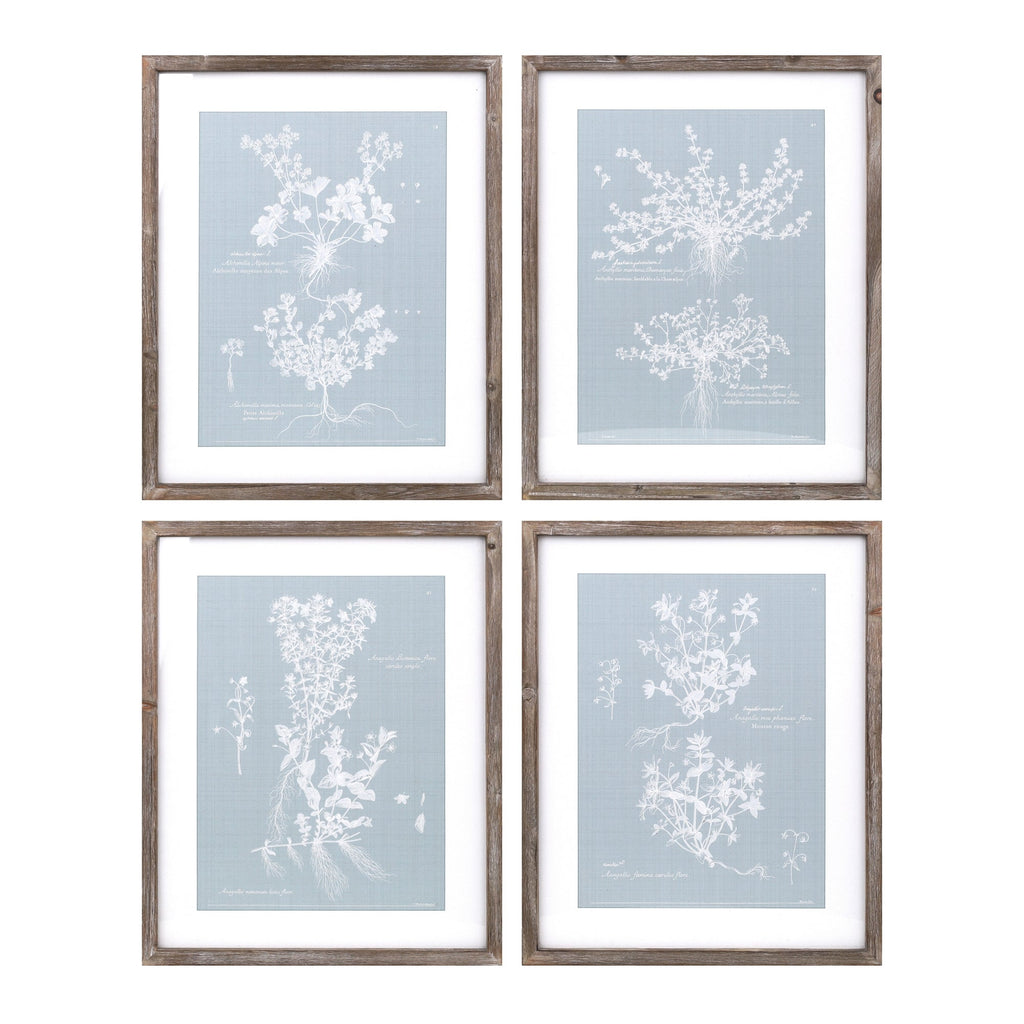 Wood framed encyclopedia floral outline under glass (set of 4)