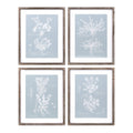Wood framed encyclopedia floral outline under glass (set of 4)