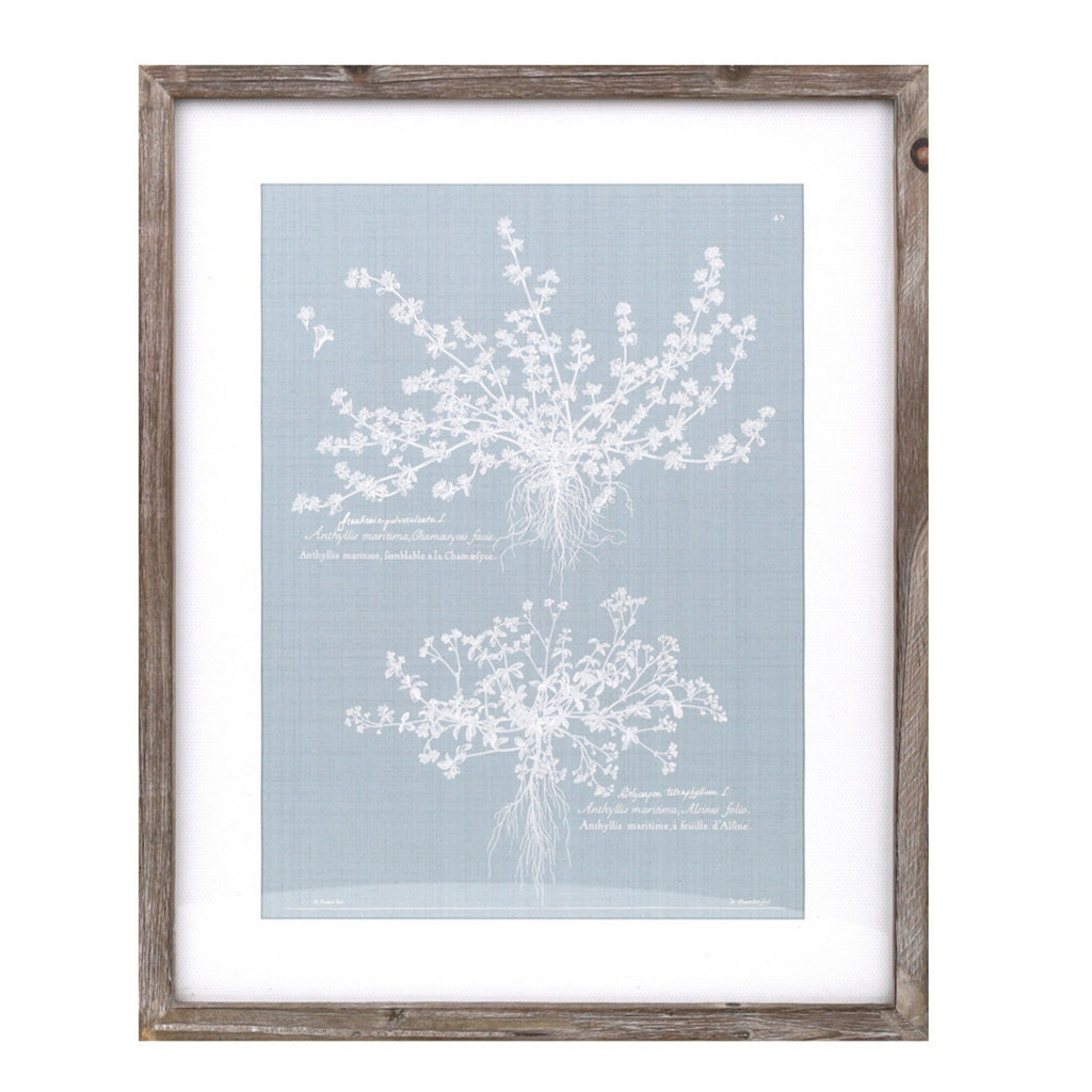 Wood framed encyclopedia floral outline under glass (set of 4)