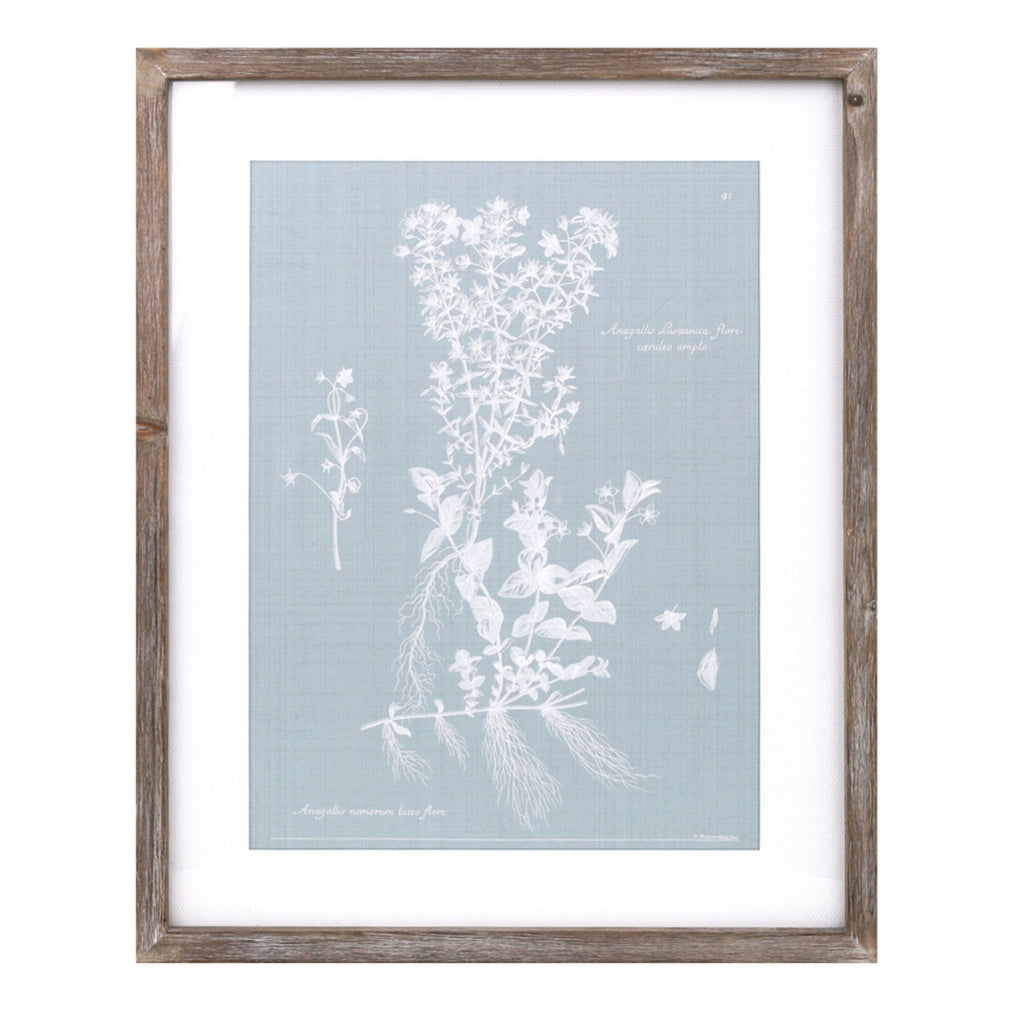 Wood framed encyclopedia floral outline under glass (set of 4)
