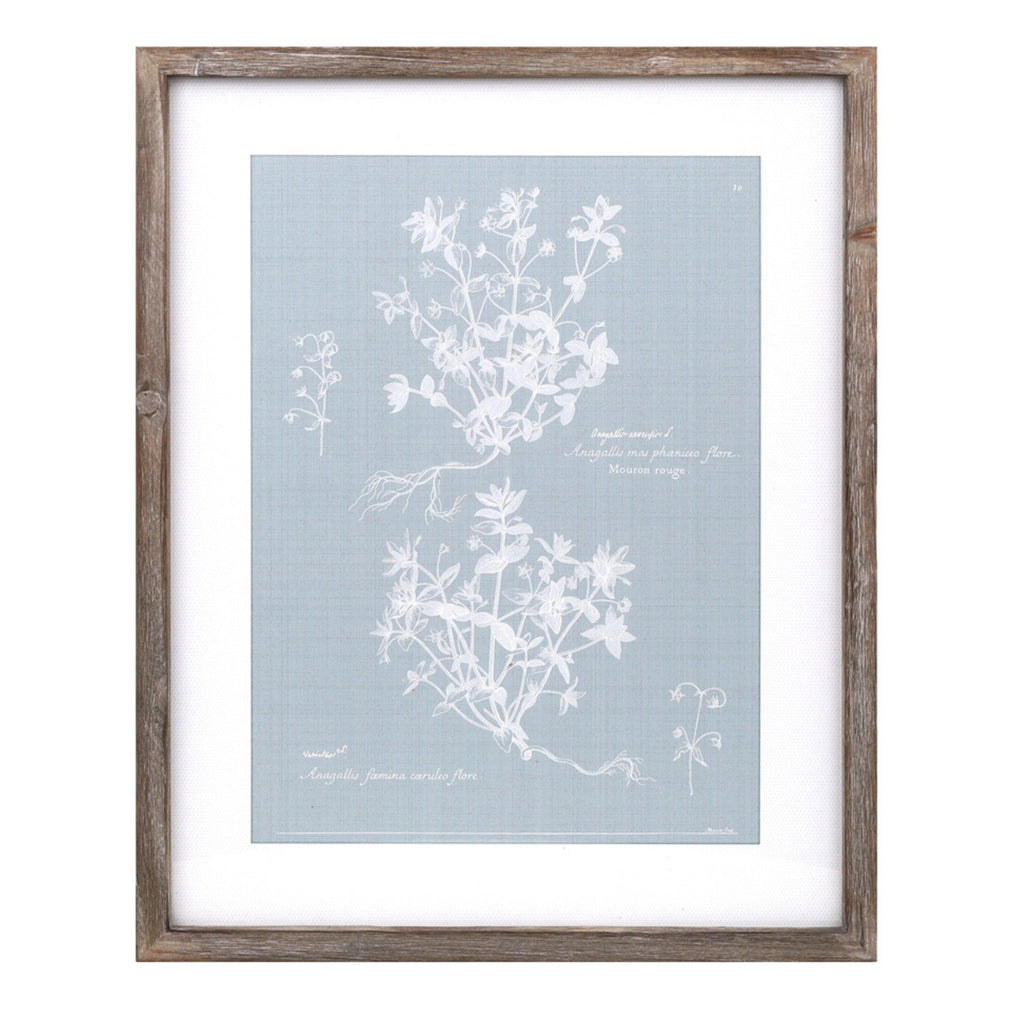 Wood framed encyclopedia floral outline under glass (set of 4)