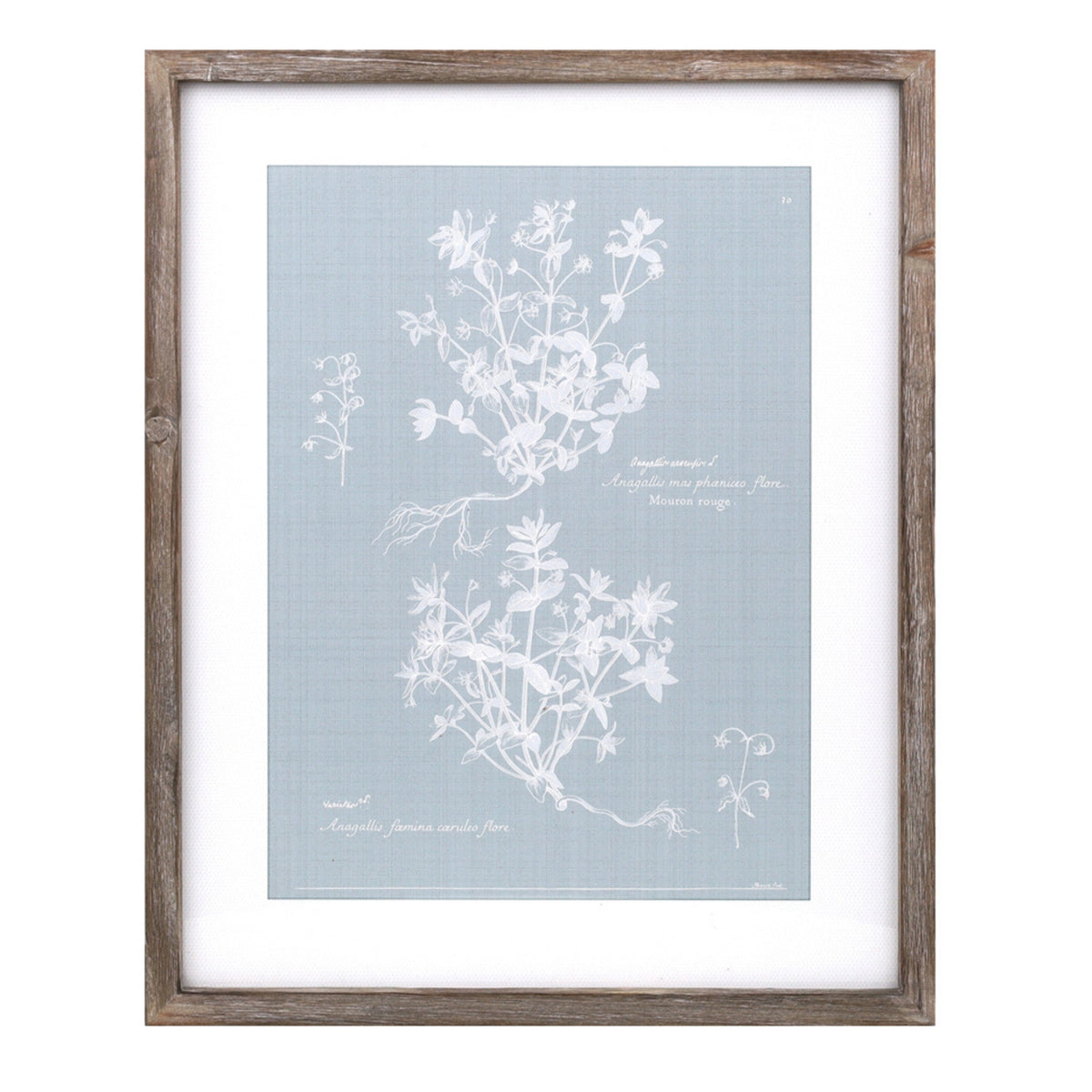 Wood framed encyclopedia floral outline under glass (set of 4)