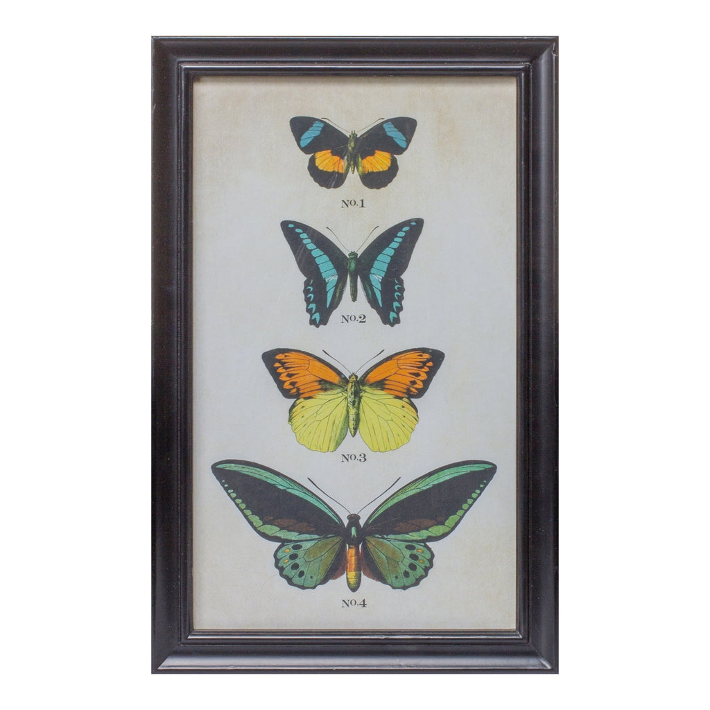 Framed Encyclopedia Butterfly Print Under Glass (Set of 2)