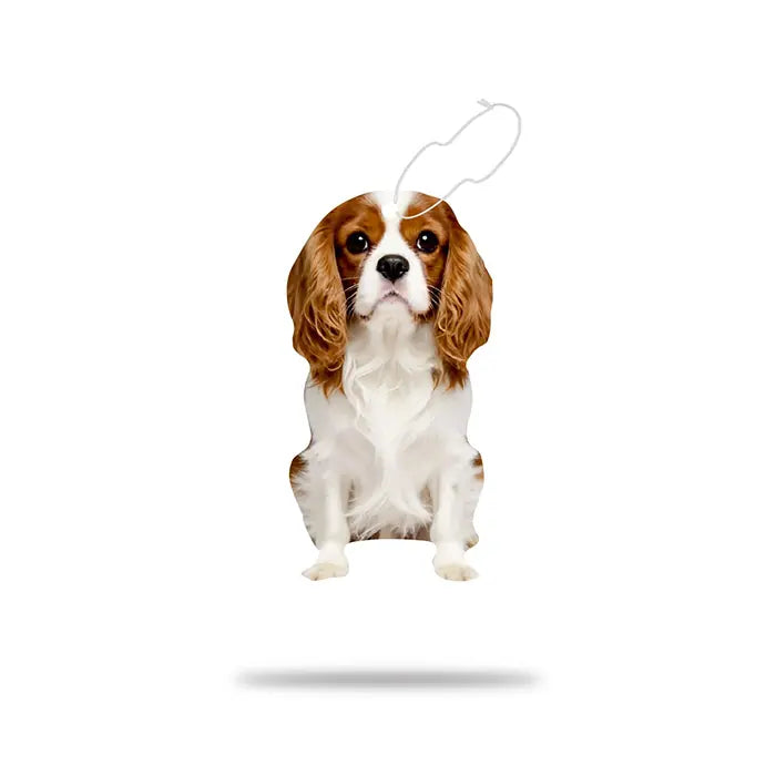 Airgut Pets Charles Car Air Freshener for Fresh Vehicle Interiors