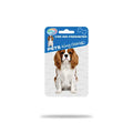 Airgut Pets Charles Car Air Freshener for Fresh Vehicle Interiors