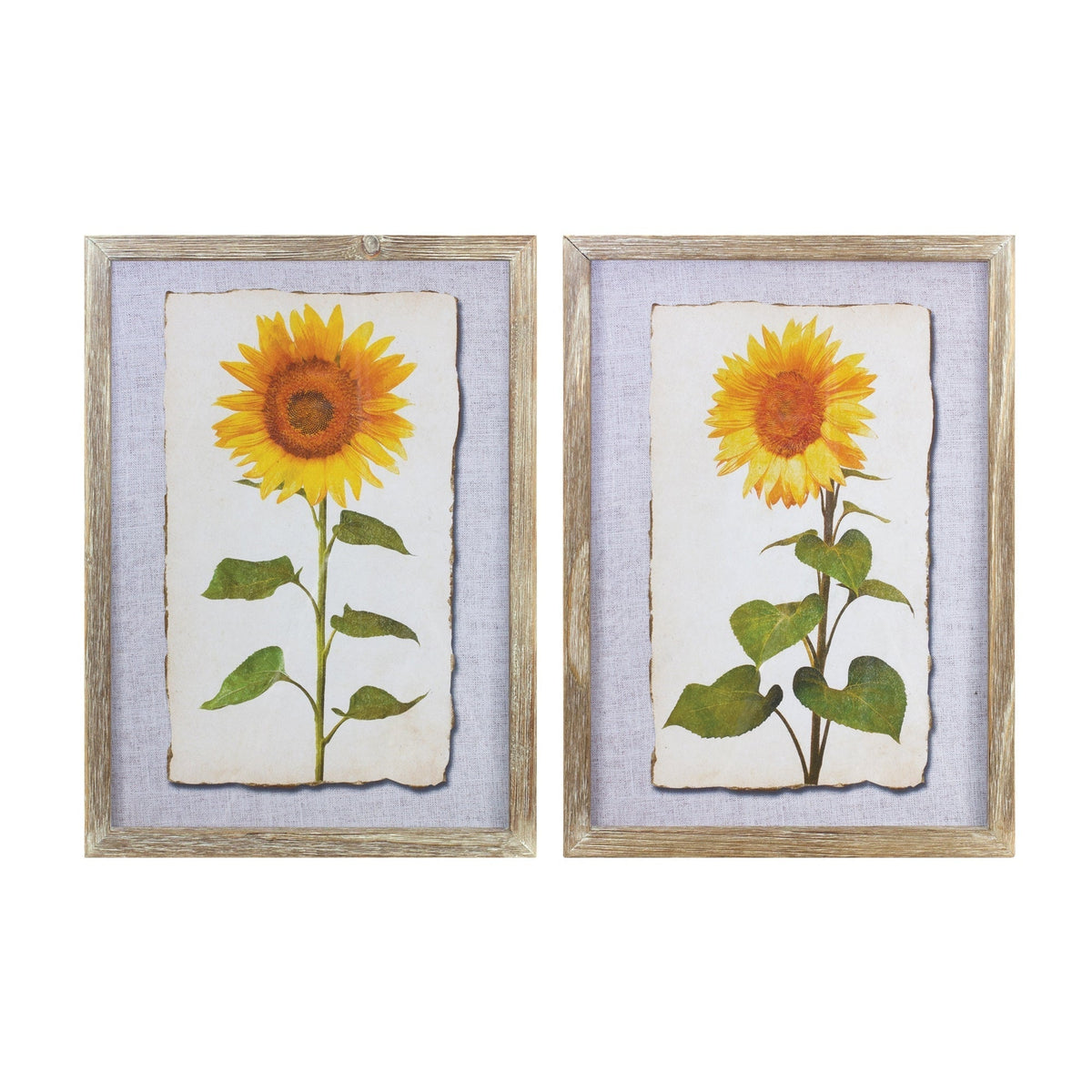 Framed sunflower print (set of 2)