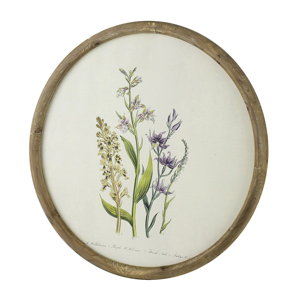 S/4 D19.7" Flora Print Round Frame