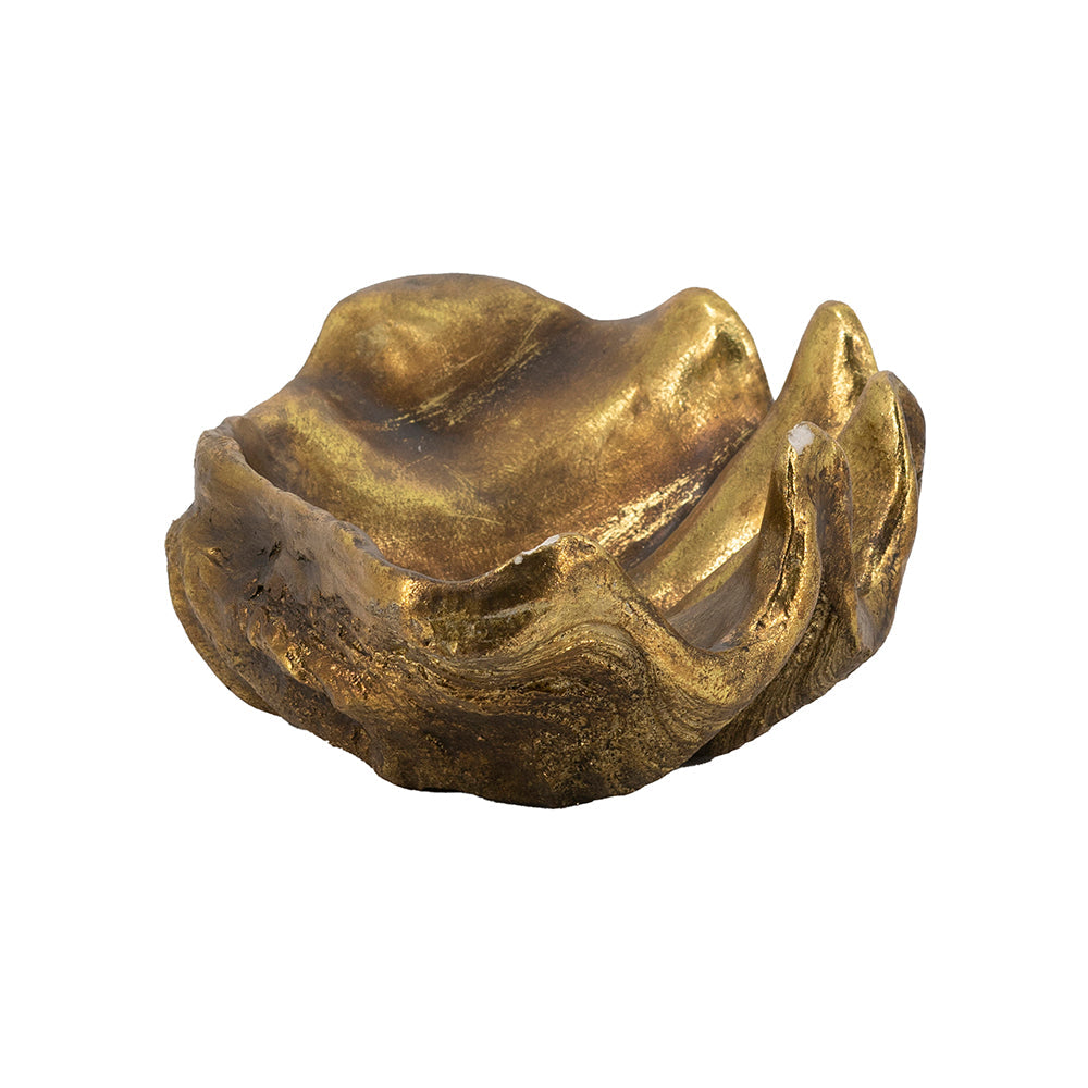 19.7" x 10.6" x 5.5" Decorative Shell Bowl