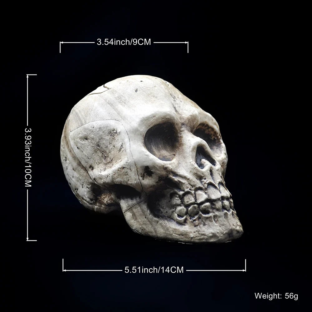 Plastic Skull Hanging Ornament, 9 x 14 x 10cm