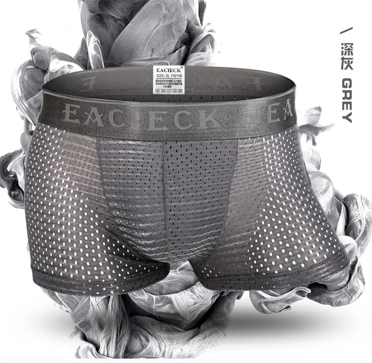 ANDERSON TALISCA Brand Silk Hollow New Mens Boxers Underwear Men Boxer Ropa Interio Man Penis Cueca Masculina Size M-3XL E248