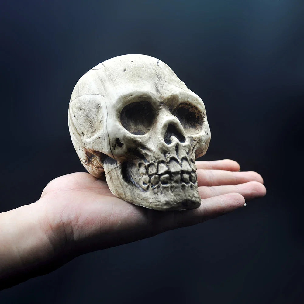 Plastic Skull Hanging Ornament, 9 x 14 x 10cm