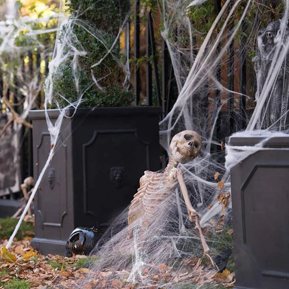 Stretchy Spider Web Halloween Decoration with Spider