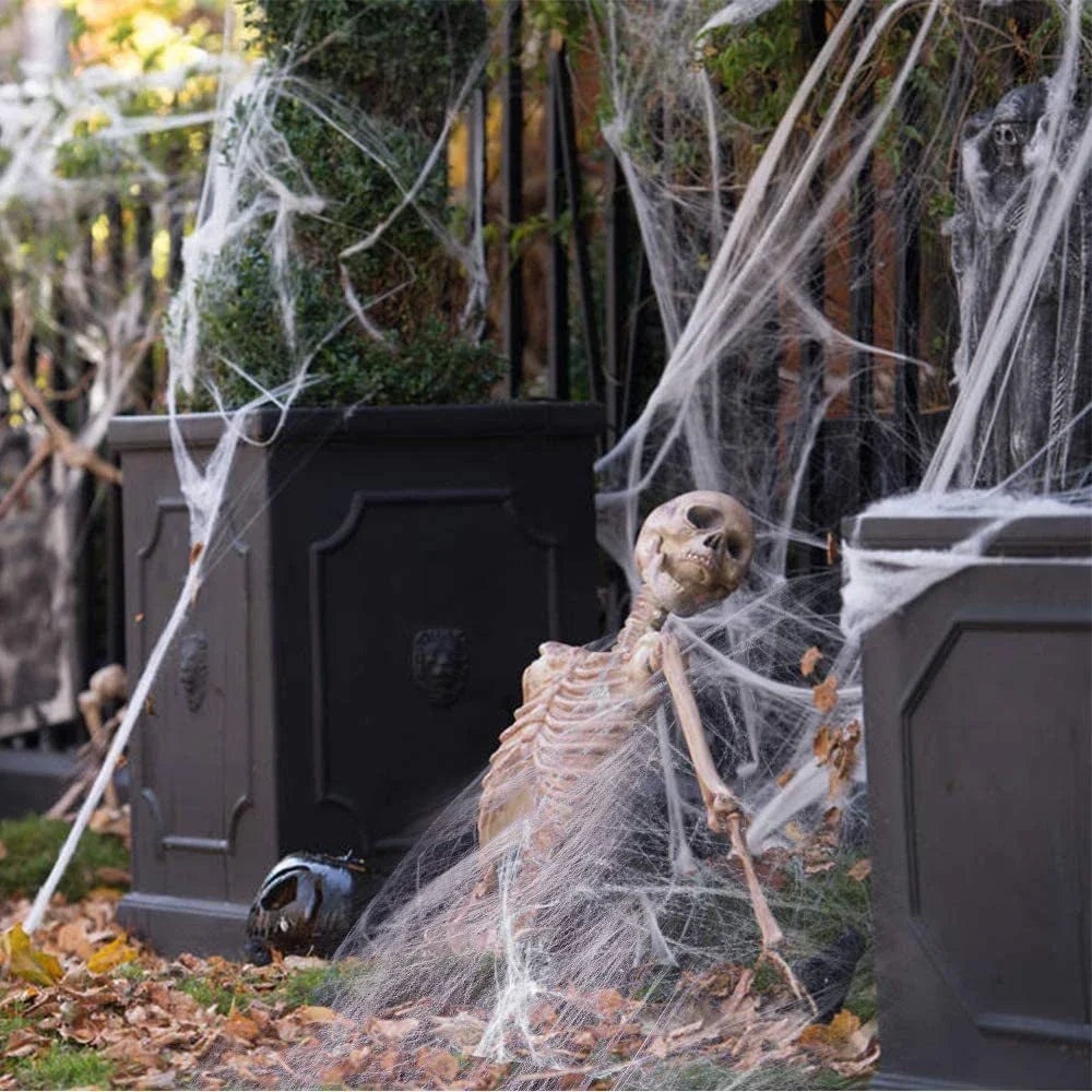 Halloween Spider Web Cobweb Decoration with Two Spider Props