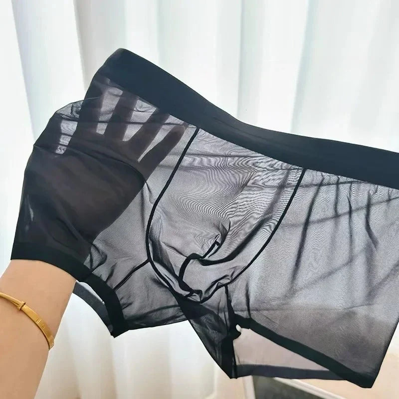 N2025 Ultra Thin Ice Silk Boxers Underwear Men Semi-transparent Seamless Sexy Male Trunk Shorts Plus Size M-XXL