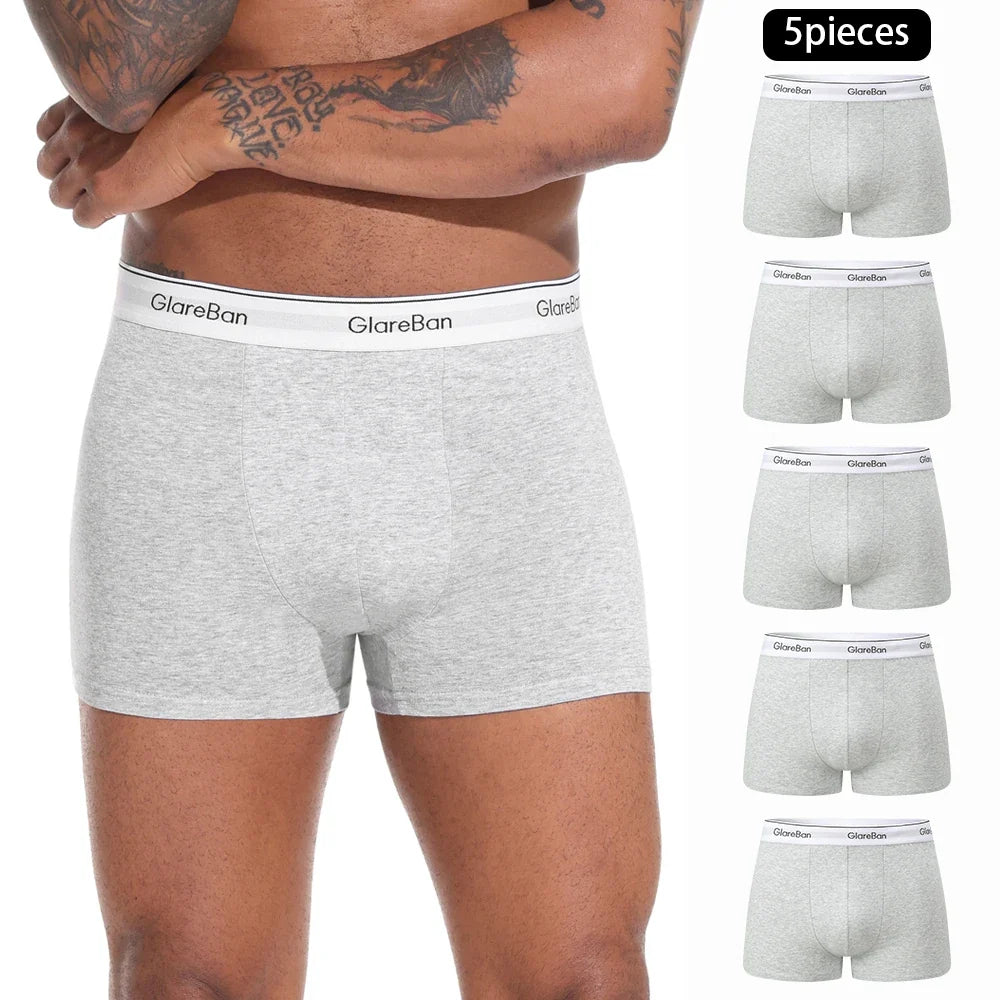 5pcs Pack Cotton Boxer Briefs Men shorts Panties Underwear For Man Brand And Underpants Homme Luxury BoxerShorts Box Slip Box