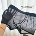 N2025 Ultra Thin Ice Silk Boxers Underwear Men Semi-transparent Seamless Sexy Male Trunk Shorts Plus Size M-XXL