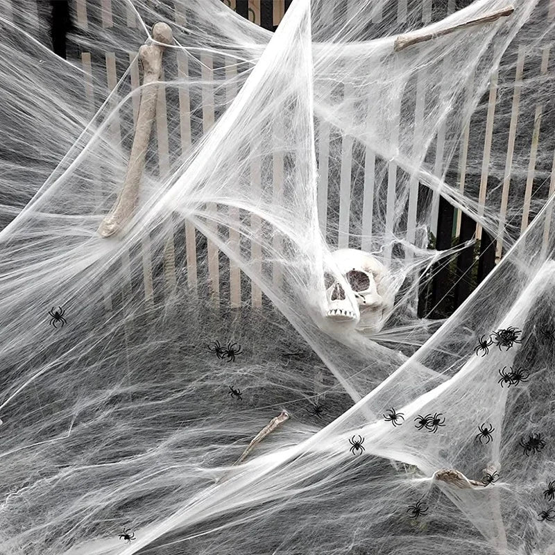 Halloween Spider Web Cobweb Decoration with Two Spider Props