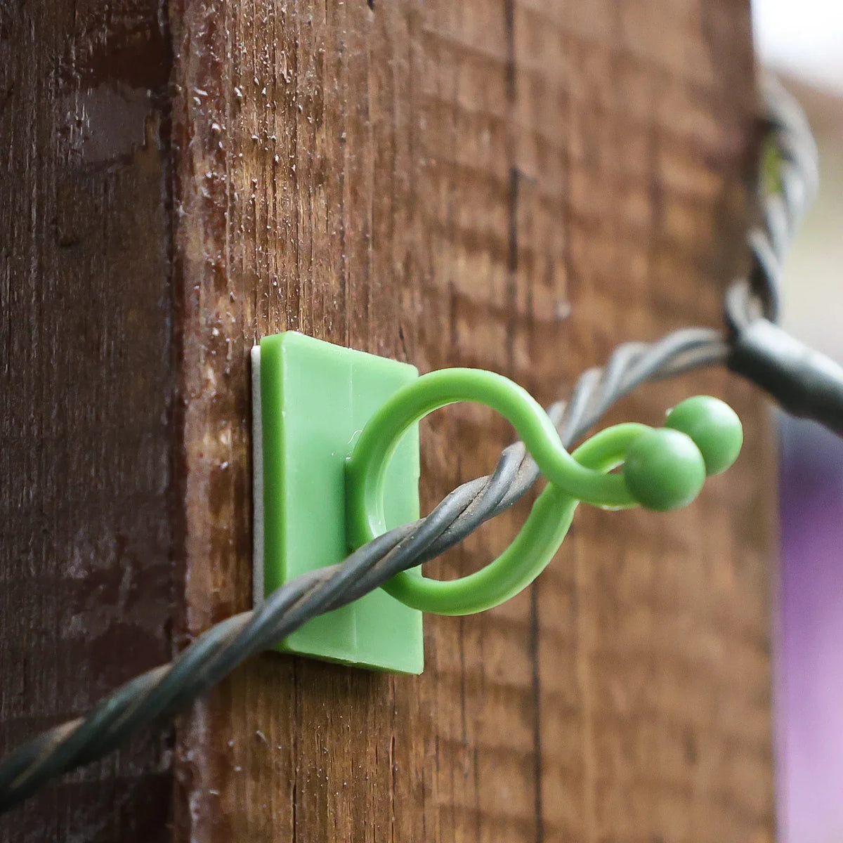 Invisible Plant Support Clips for Climbing Orchid Flower Ties Tomato Vine Plastic Garden Self-Adhesive Wall Fixture Binding Hook