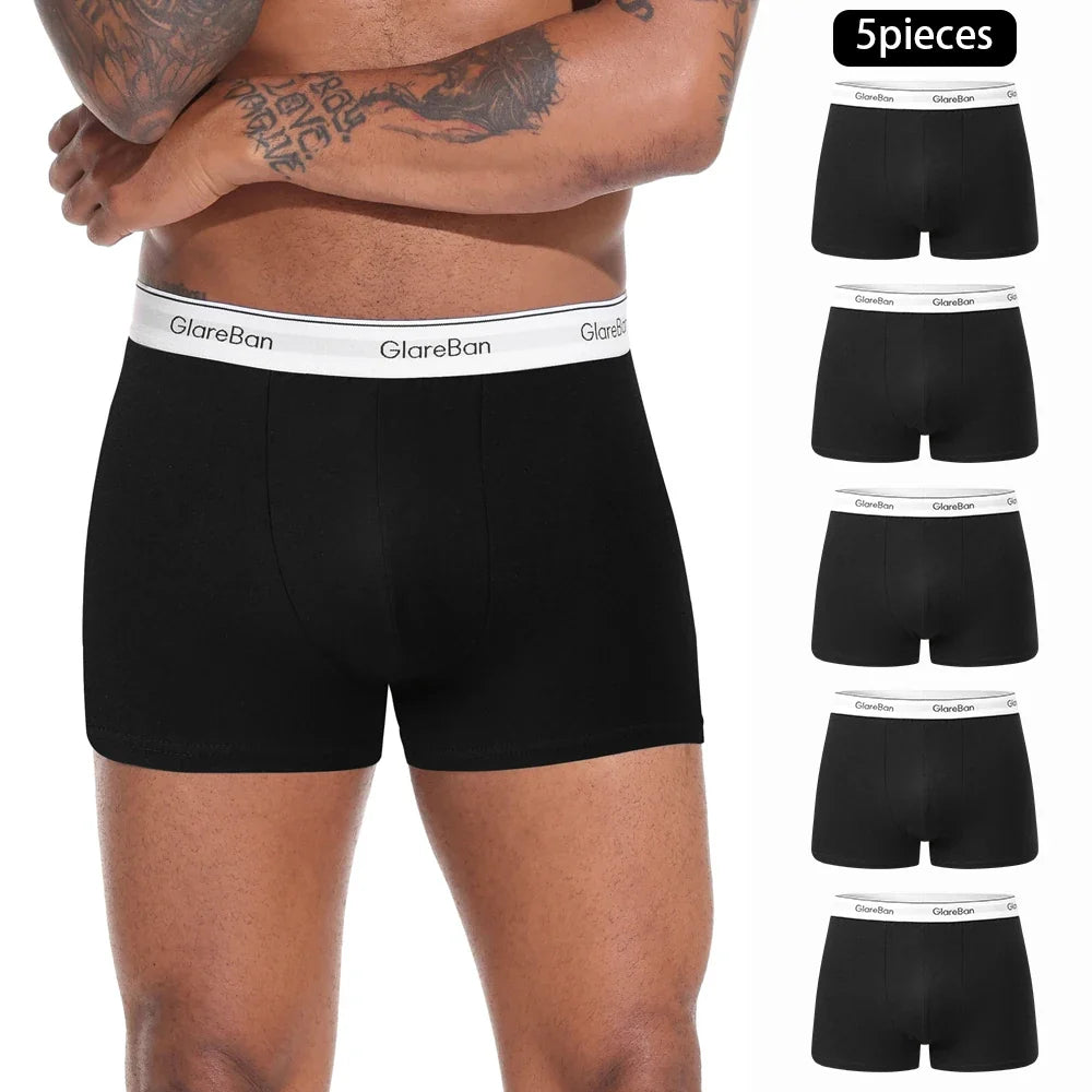 5pcs Pack Cotton Boxer Briefs Men shorts Panties Underwear For Man Brand And Underpants Homme Luxury BoxerShorts Box Slip Box