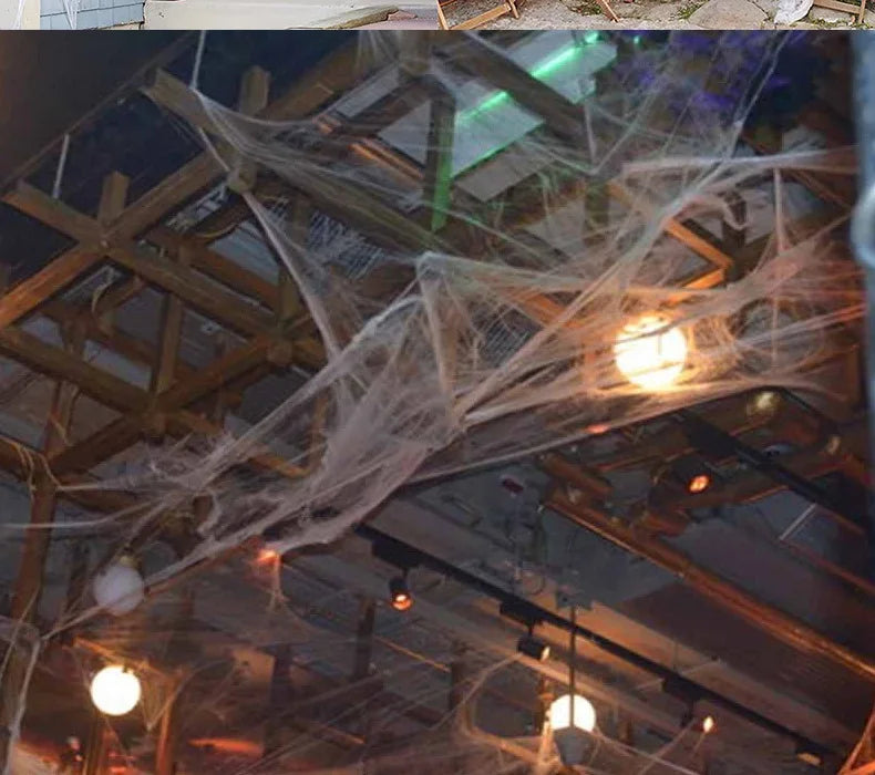 Halloween Spider Web Cobweb Decoration with Two Spider Props
