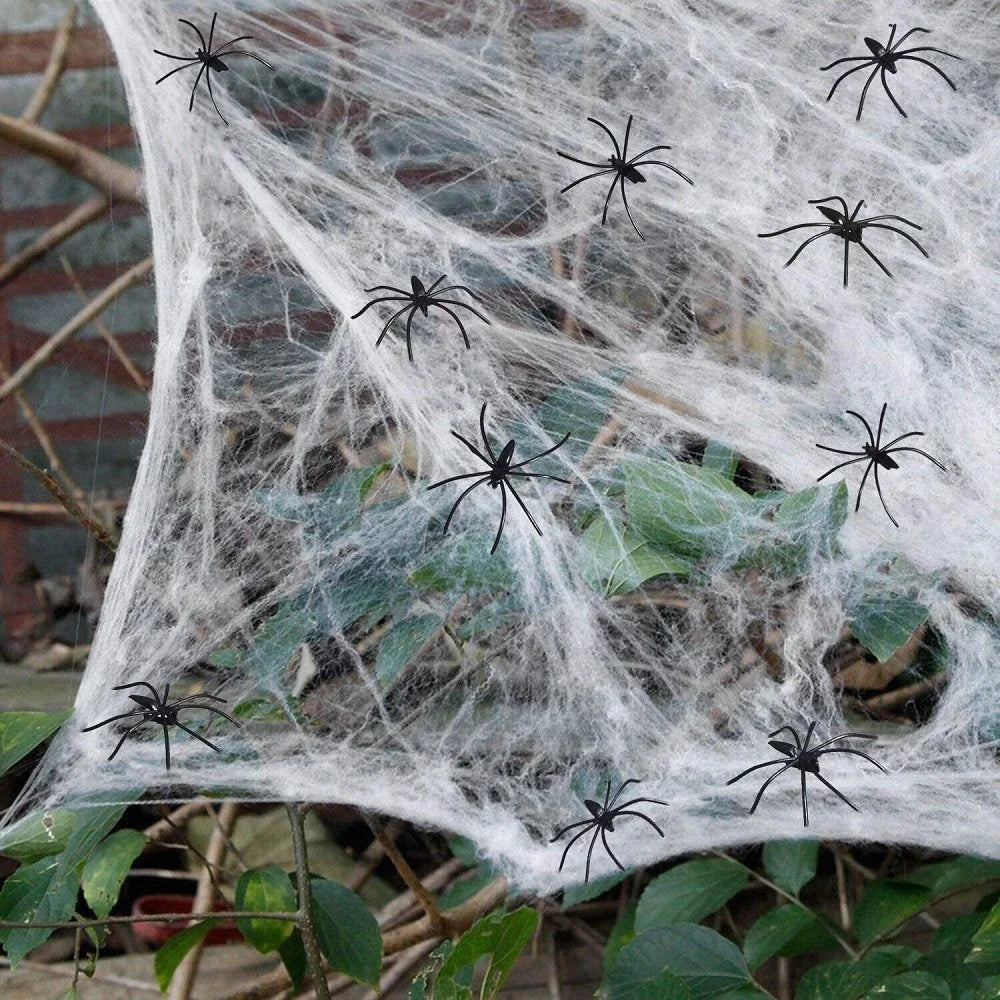 Halloween Spider Web Cobweb Decoration with Two Spider Props
