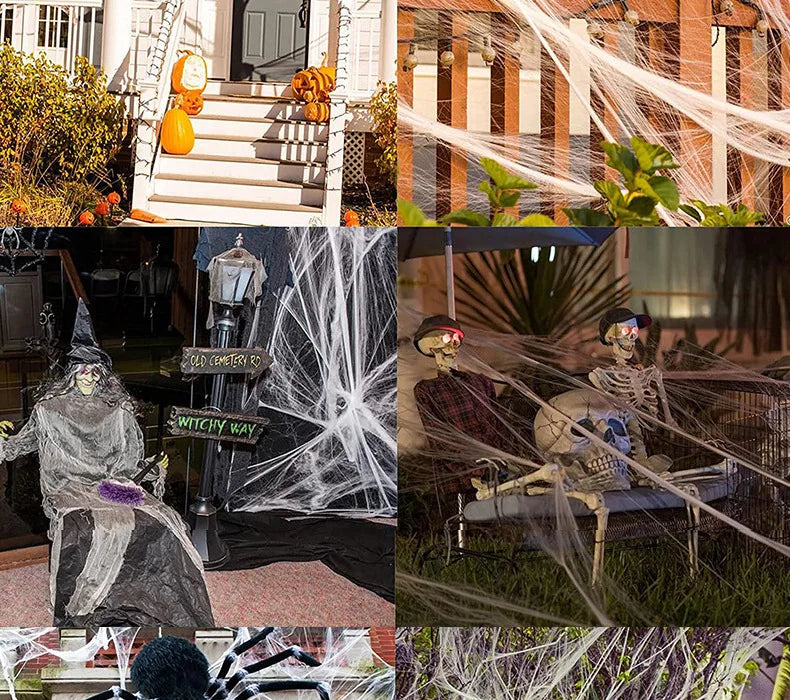 Halloween Spider Web Cobweb Decoration with Two Spider Props