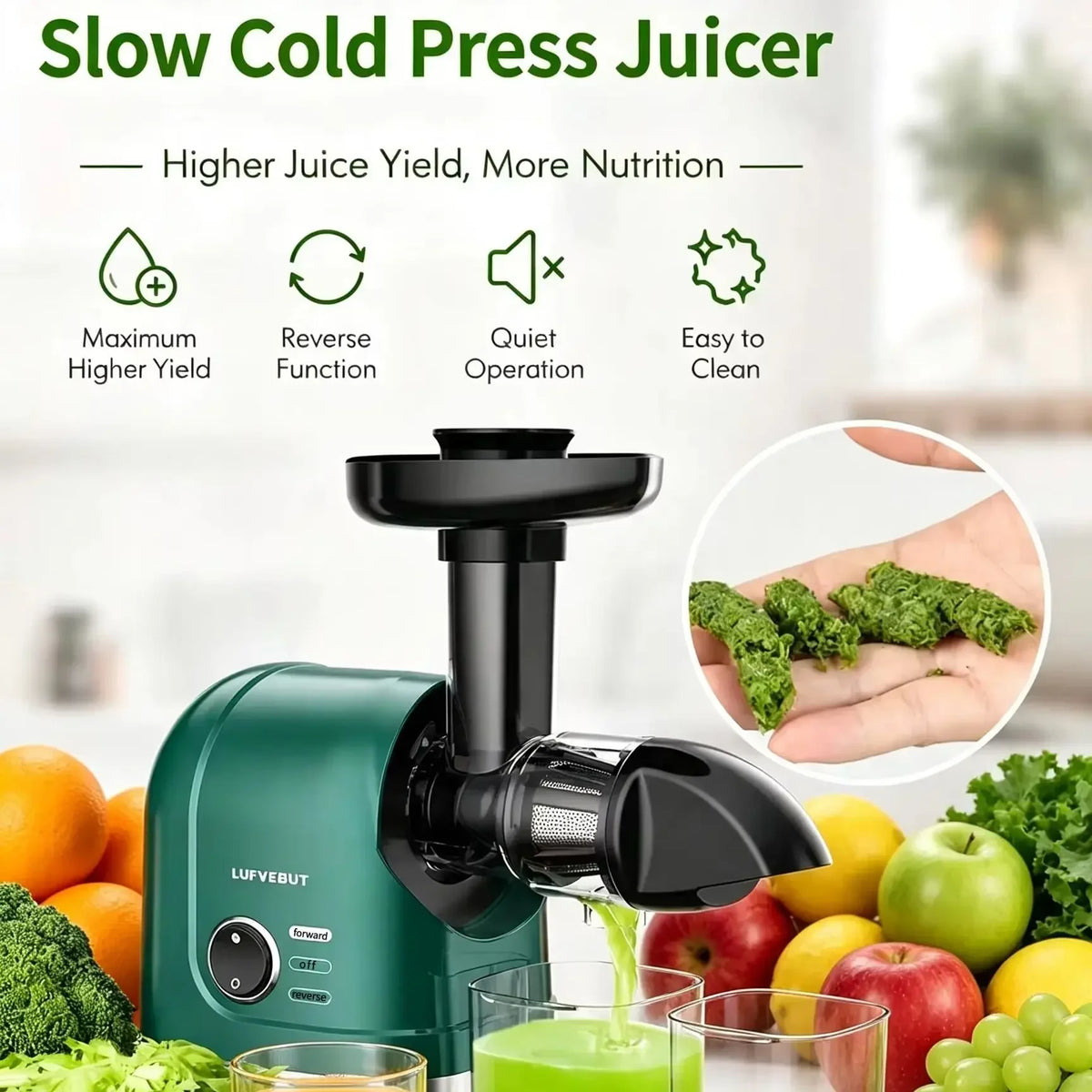 Slow Masticating Cold Press Juicer Reverse Function BPA-Free Quiet Easy Clean High Yield Fruit Vegetable Juice Extractor Home