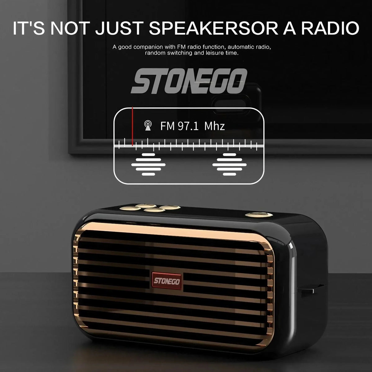 STONEGO Portable Bluetooth Speaker, 16W Stereo, TWS